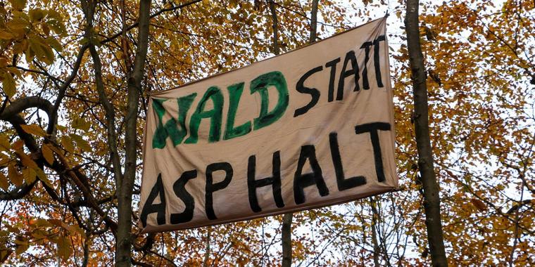 Danneröder Wald  Vortrag über die Waldbesetzung und eine Einführung in den Grünen Anarchismus – 14.8. – 19:30 – Komplex Schwerin – Organisiert von der Libertären Brise für Schwerin
